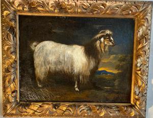 Dipinto ad olio su tela, raffigurante uno squisito ritratto di una capra